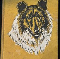 Lassie Come Home by Eric Knight